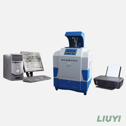 北京六一凝膠成像分析系統WD-9413A